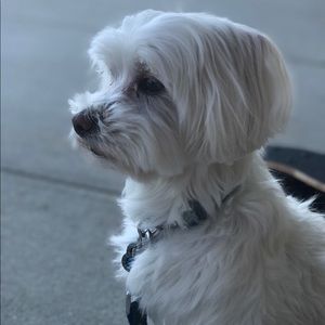 Meet your Posher, Vanessa